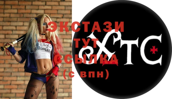 молекула духа Медвежьегорск