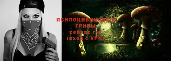 спиды Михайловка