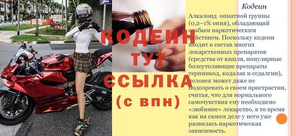 первитин Бикин