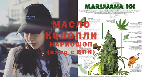 спиды Михайловка