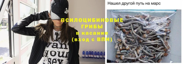 молекула духа Медвежьегорск
