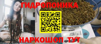 тгк Абакан