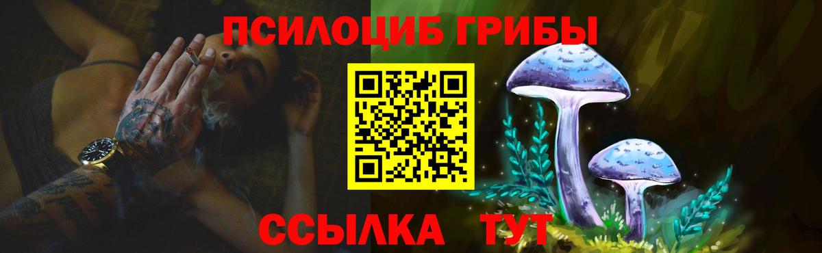 Моздок  Псилоцибиновые грибы Cubensis  как найти закладки  Вход с VPN 