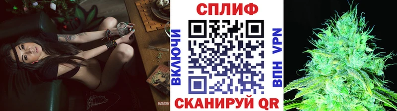 OMG вход  Моздок  Шишки марихуана планчик 